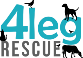 4 Leg Rescue